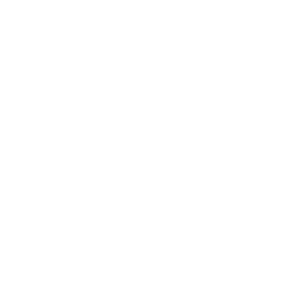 Switchity Logo white
