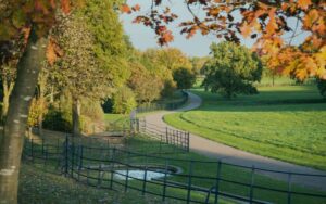 Campbell Park in Milton Keynes, representing the local broadband coverage area